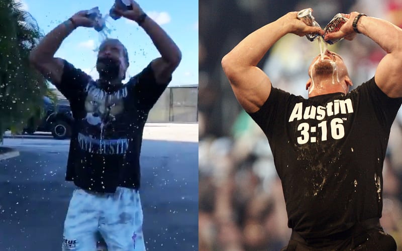 Steve Austin Impression By Miami Dolphins Player Gets WWE’s Attention