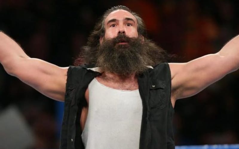 ‘Best Of Luke Harper’ Collection Set To Release On The WWE Network