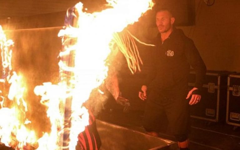 Ex WWE Referee Has Interesting Suggestion For Firefly Inferno Match At WWE TLC