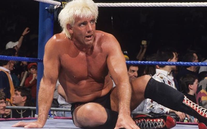 Ric Flair On How Terrible His WWE Title Matches Were After Changing His Style