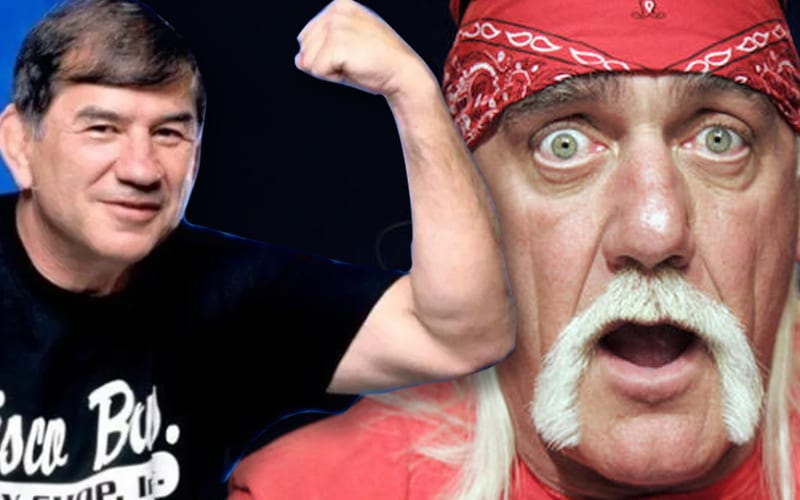 Hulk Hogan Was Punched In The Crotch By Gerald Brisco's Son Wes