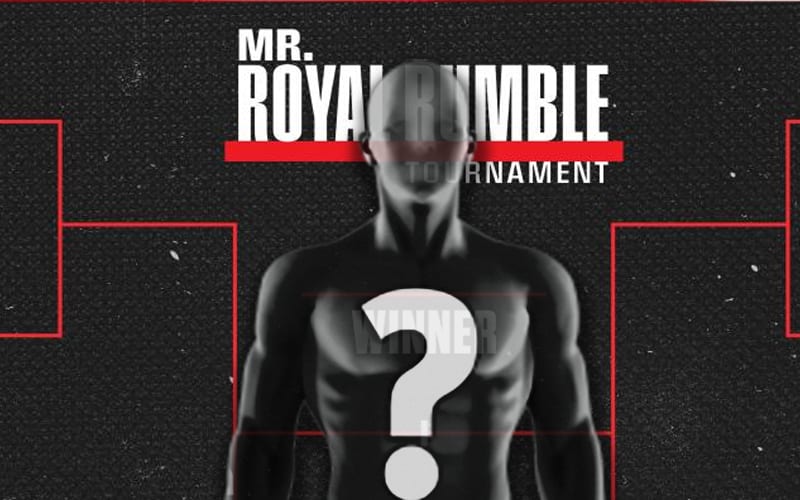 WWE Set To Hold Mr. Royal Rumble Tournament