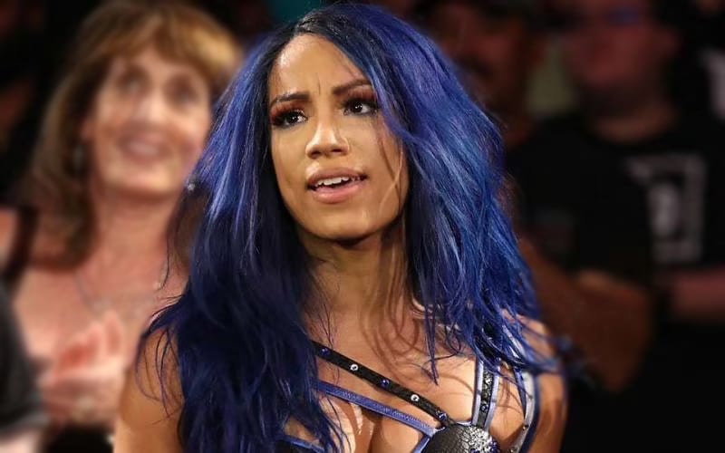 Sasha Banks On The Joy She Gets By Making Fans Angry