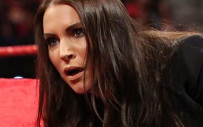 Stephanie McMahon Was Once Attacked By A Fan During WWE Show