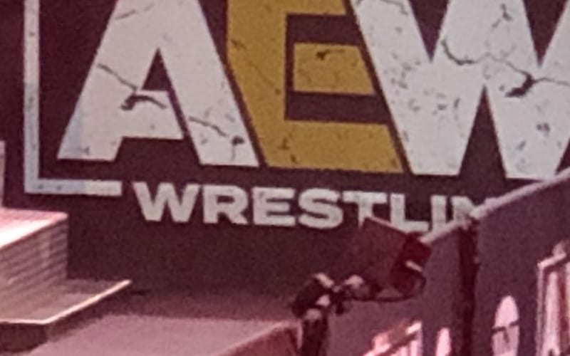 Pro Wrestling Legend Spotted In Crowd At AEW Dynamite