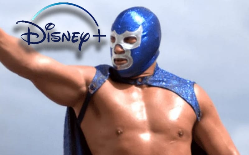 Pro Wrestler Caused Issues For Disney Security After Refusing To Take Off Mask