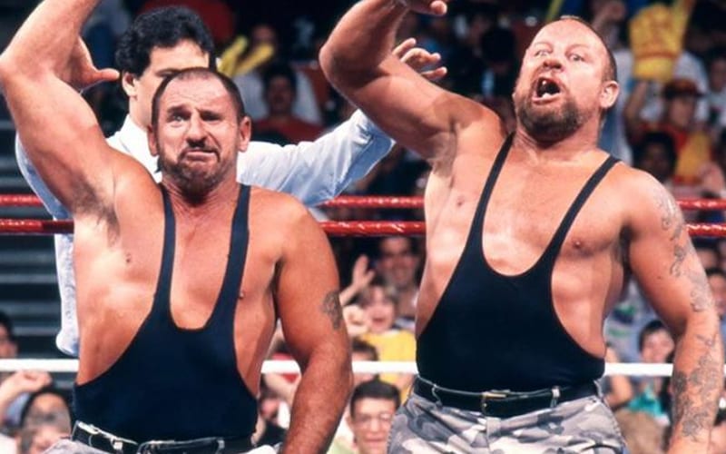Why Bushwhackers Never Became WWE Tag Team Champions