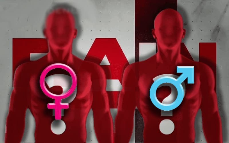 WWE Allegedly Considering Intergender Match