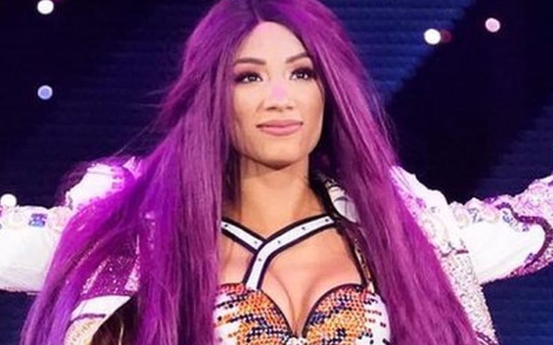 Sasha Banks Says Her Purple Hair Contributed To Depression Issues