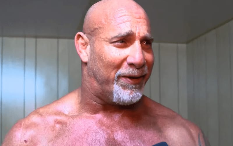 Goldberg Called Out For Being Unsafe In The Ring