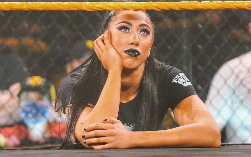 Indi Hartwell Makes Hilarious Observation About Current WWE NXT Storyline