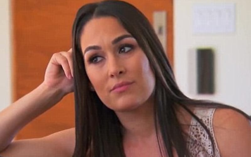 Nikki Bella Calls Out WWE Over RAW Is XXX Controversy