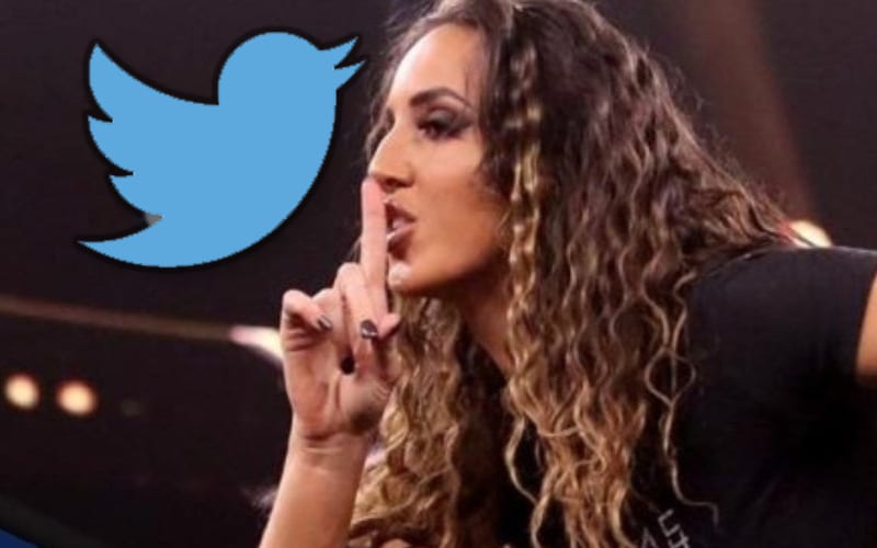 Chelsea Green Mocks WWE’s Strict Social Media Policy For Superstars