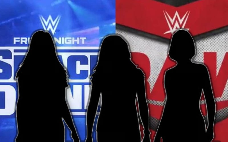 WWE Cancelled Plans For All-Female Faction
