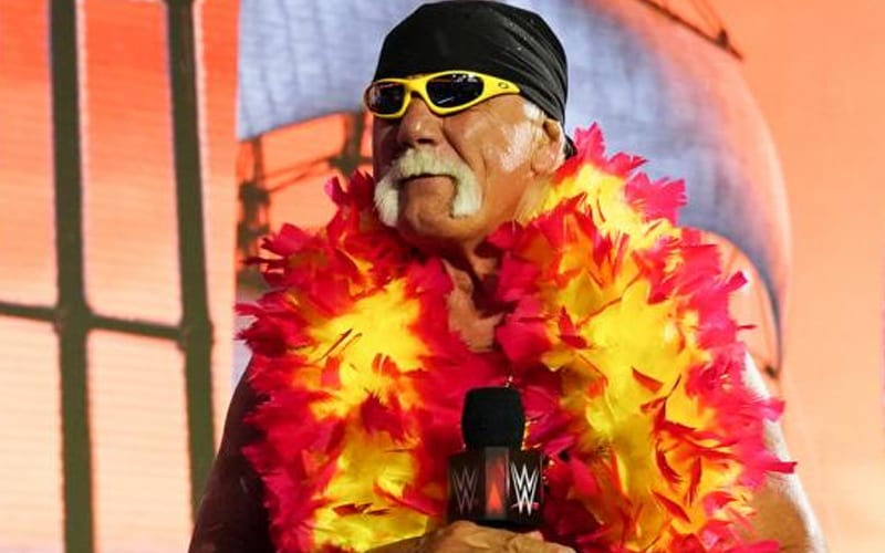 Fan Video Shows Hulk Hogan Getting Tons Of Boos From WrestleMania Live Crowd