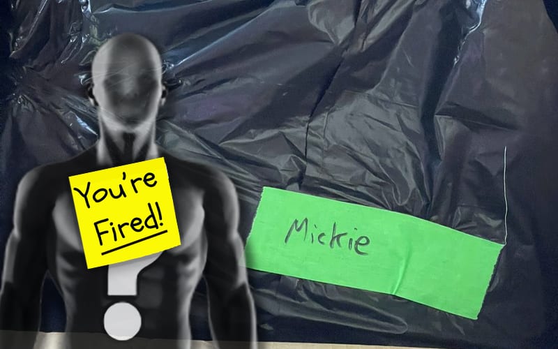 WWE Fires Employee For Sending Mickie James’ Belongings To Her In Trash Bag