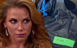 WWE Sent Mickie James A 'Care Package' Trash Bag After Her Release