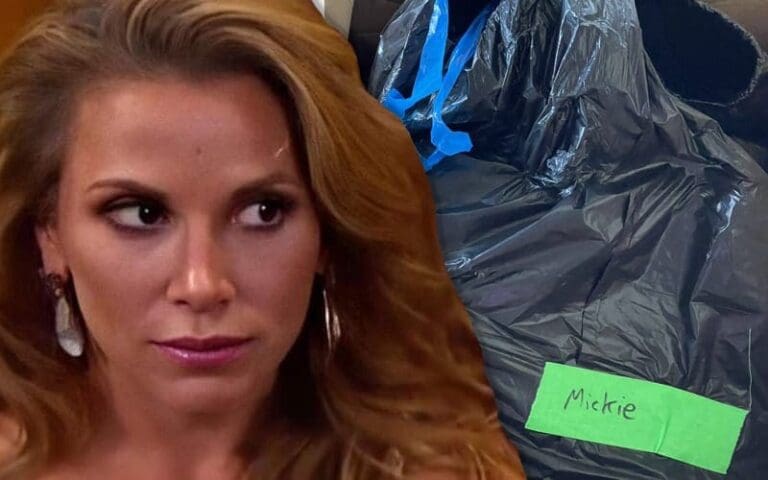 WWE Sent Mickie James A 'Care Package' Trash Bag After Her Release