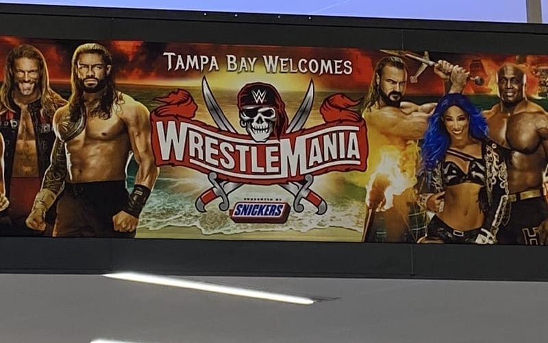 tampa-mania