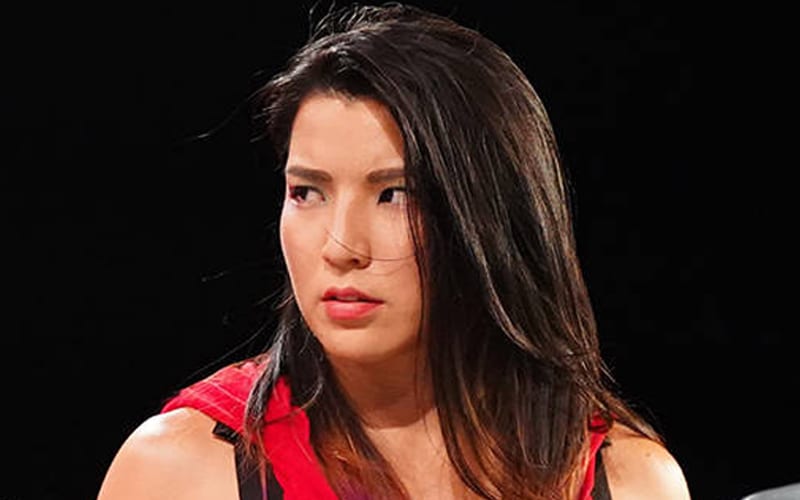 Hikaru Shida Possibly Injured At A Non-AEW Event