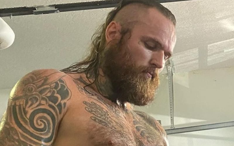 Aleister Black Drops Training Photo To Show Off Impressive Physical Transformation