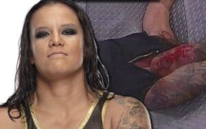 Shayna Baszler Paints Great Analogy About AEW Blood & Guts