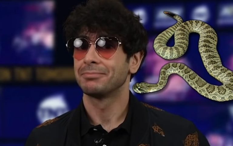 Tony Khan Says AEW Would Never Hurt A Snake After Controversial Double Or Nothing Spot