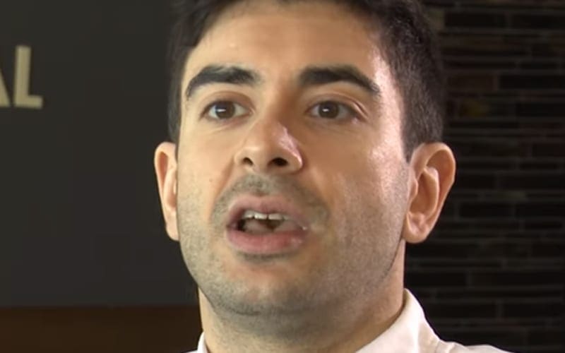 Tony Khan Has No Plans To Be A Character On AEW Television