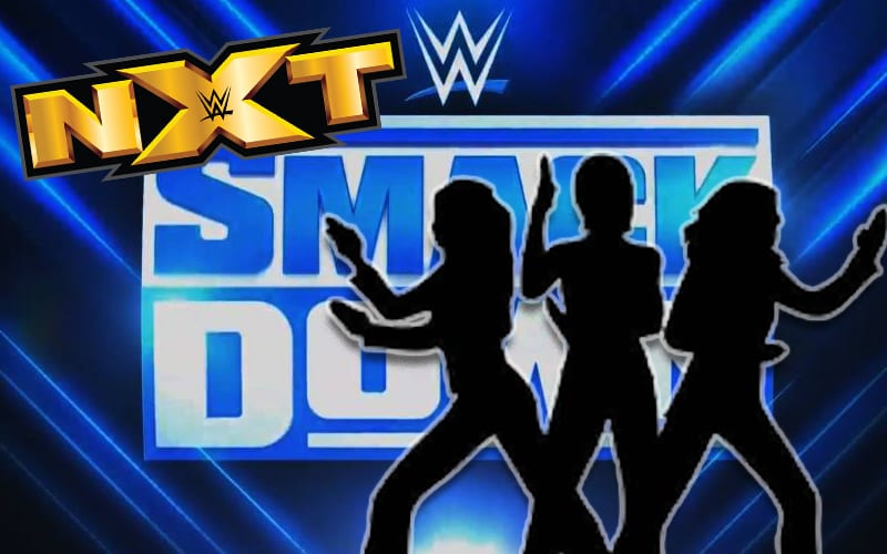 WWE Cancelled All Female Stable Of Debuting NXT Superstars
