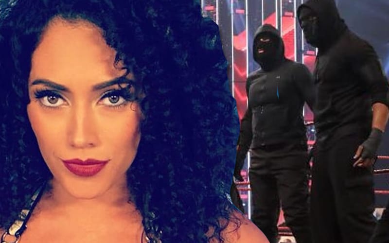 WWE Punished Vanessa Borne For Expressing Concern About Retribution Mirroring Real Violence