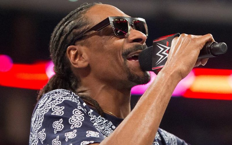 Snoop Dogg Partners With WWE For SummerSlam Promotion