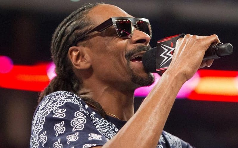 Snoop Dogg Partners With WWE For SummerSlam Promotion