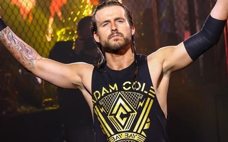 WWE Main Roster Writers Instructed To Think Of Ideas For Adam Cole