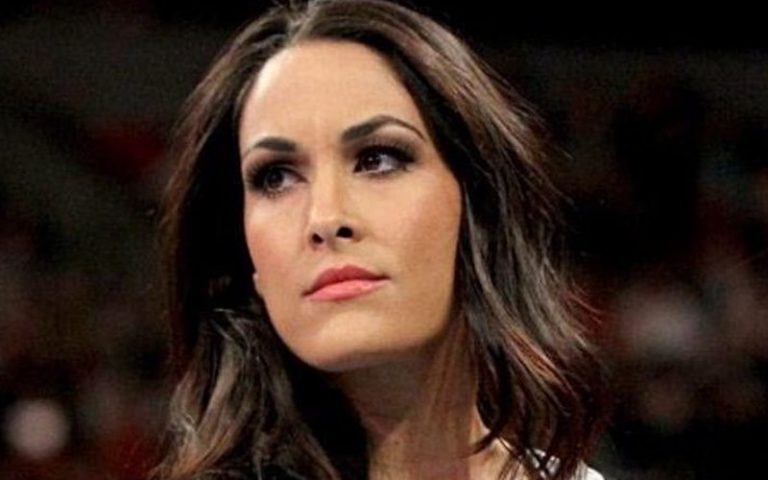 Brie Bella Criticizes Current State Of WWE Women’s Division