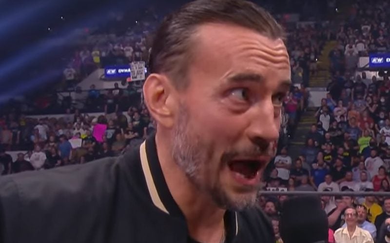 CM Punk Wasn’t Interested In AEW As A ‘Startup Company’
