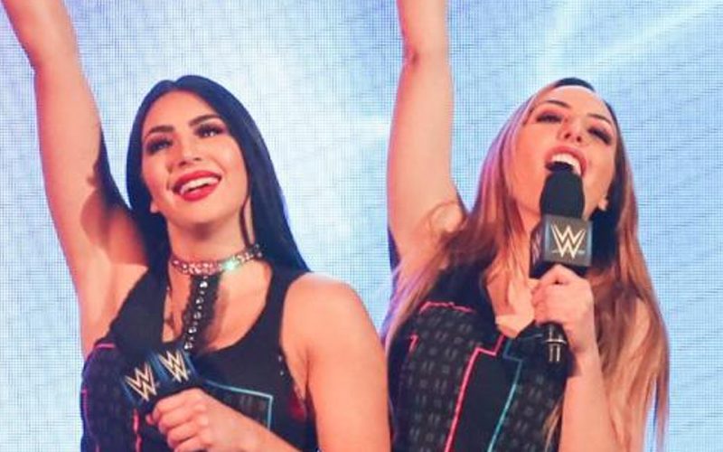 IIconics Receiving Interest From Multiple Pro Wrestling Companies