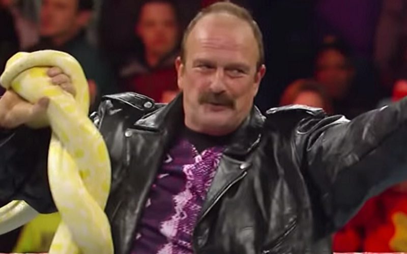 Jake Roberts Was Nearly Killed By Snake That Tried To Escape Into The Crowd