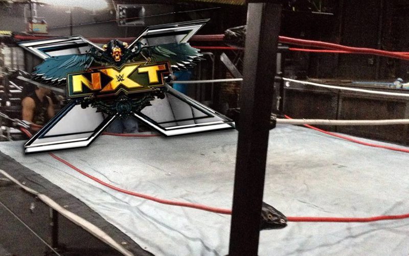 WWE No Longer Looking To Sign Independent Wrestlers