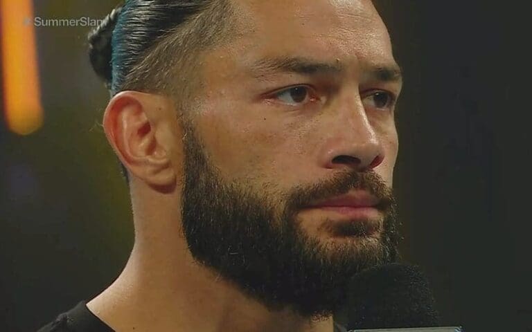 Roman Reigns Puts Career On The Line At WWE SummerSlam