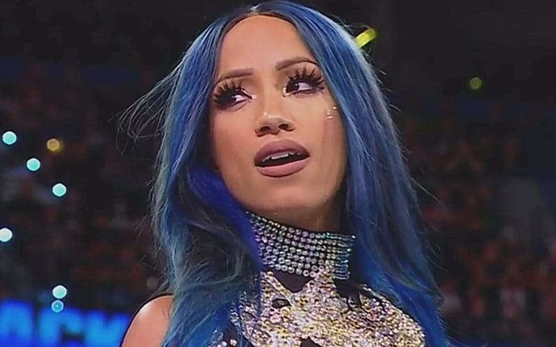 Sasha Banks Updates Fans After Injury Scare At Live Event