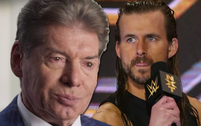 Vince McMahon Wants Adam Cole For WWE Main Roster