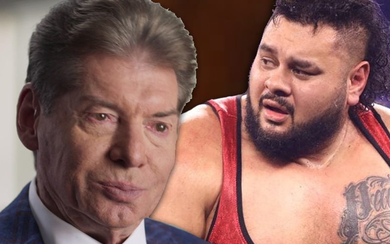 Why Vince McMahon Decided To Release Bronson Reed