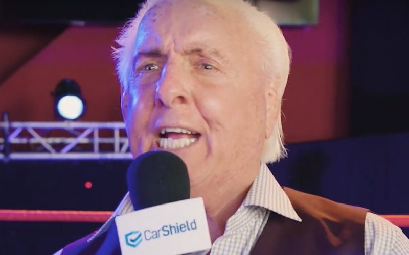 Ric Flair Ad Campaign Paused Due To Dark Side Of The Ring Controversy