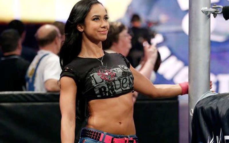 AJ Lee Opens Up About What She Took From Pro Wrestling Career