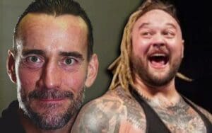 Bray Wyatt Seems To Agree With CM Punk That Pro Wrestling Is Fun Again