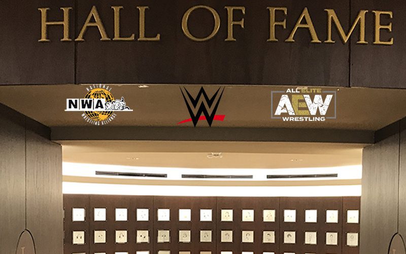Physical Pro Wrestling Hall Of Fame Planned For New York