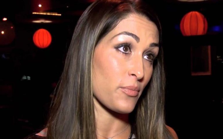 Nikki Bella Sends Warning To WWE Women’s Tag Team Champions