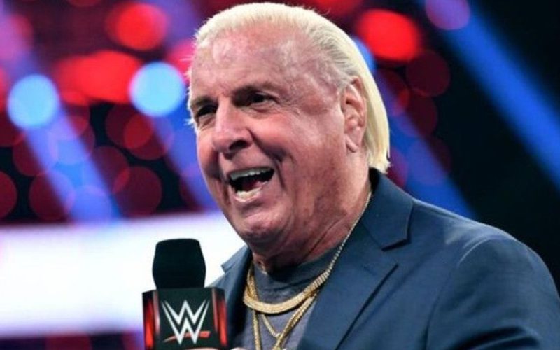 Ric Flair Admits He Doesn’t Understand WWE Storylines