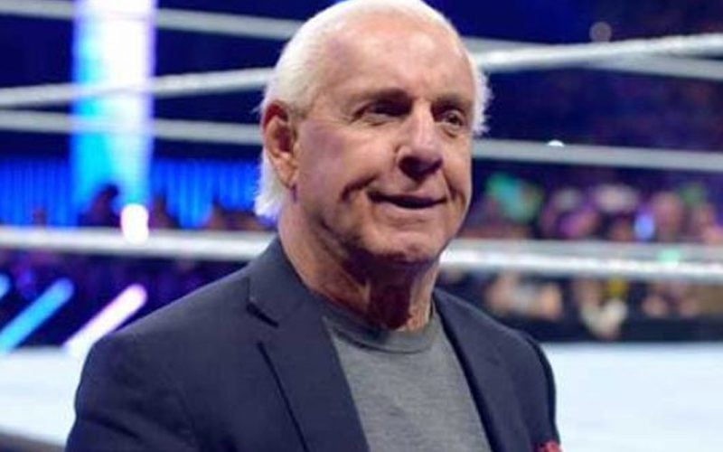 Ric Flair Says WWE Is Still The Bigger Show Compared To AEW
