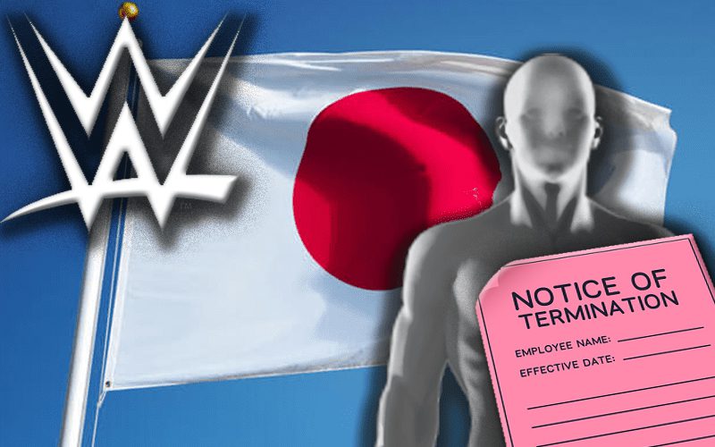 WWE Fired Over 100 People When Shutting Down Japanese Division